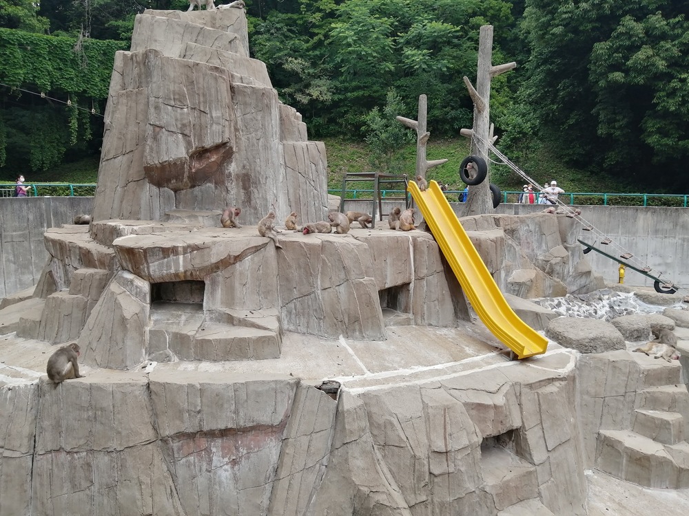 わくわくも のんびりも 福岡市動植物園でまるごと１日遊んじゃおう かぞくの休日
