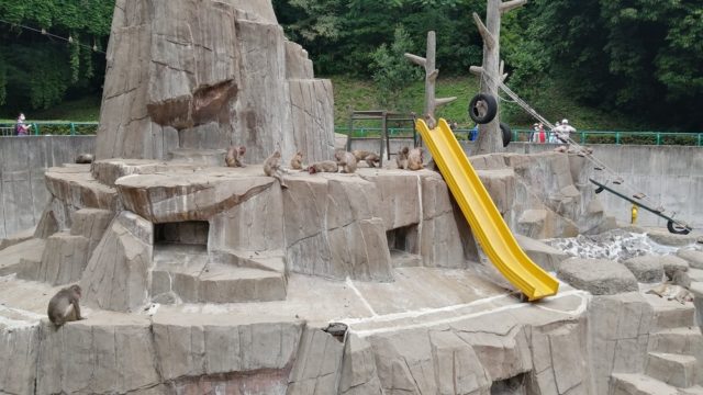 福岡県 大規模リニューアルの前後を楽しもう 福岡市動物園の今と未来 かぞくの休日