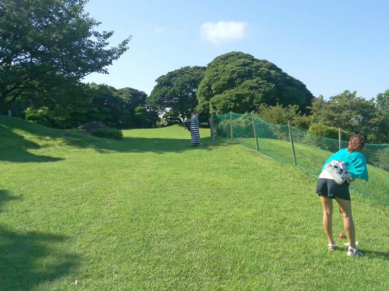 パノラマコスモスと海の絶景 童心に返れる のこのしまアイランドパーク かぞくの休日