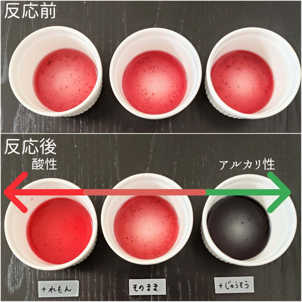 不思議を育てるおうち実験 色が変わるブルーベリードーナツ作り 酸とアルカリの科学クッキング かぞくの休日